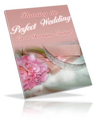 Product picture Planning the Perfect Wedding on a Shoestring Budget