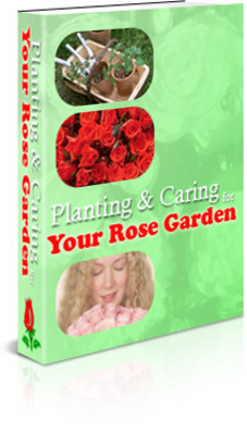 Product picture Planting & Caring for Your Rose Garden