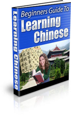 Product picture Beginners Guide To Learning Chinese