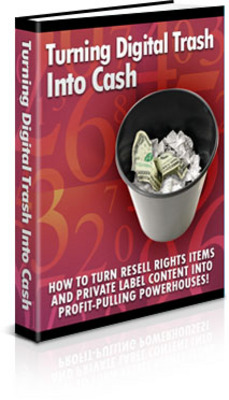 Product picture Turning Digital Trash into Cash